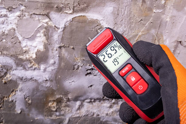 Best Insurance-Related Mold Remediation in Pontoon Beach, IL