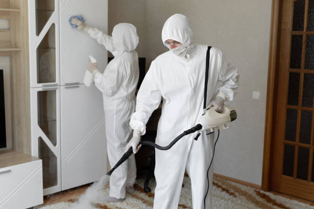 Best HVAC Mold Remediation in Pontoon Beach, IL
